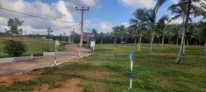 ඉඩමක් අලුත්ගමින්