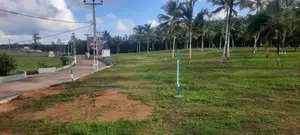 ඉඩමක් අලුත්ගමින්