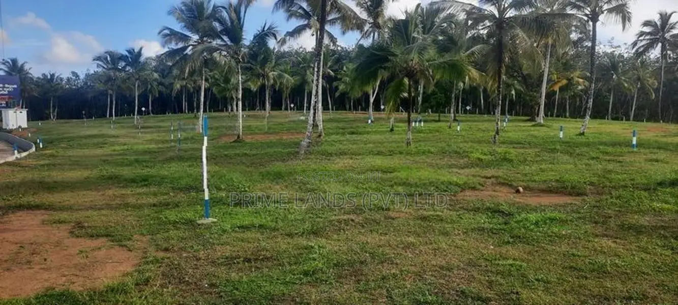 ඉඩමක් අලුත්ගමින්