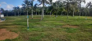 ඉඩමක් අලුත්ගමින්