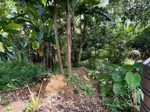 Prime Land for Sale in Thalawathugoda