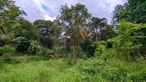 කඩවත වෑබඩින් වටිනා ඉඩමක් විකිණීමට