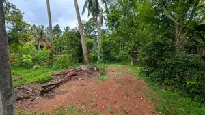 කඩවත වෑබඩින් වටිනා ඉඩමක් විකිණීමට