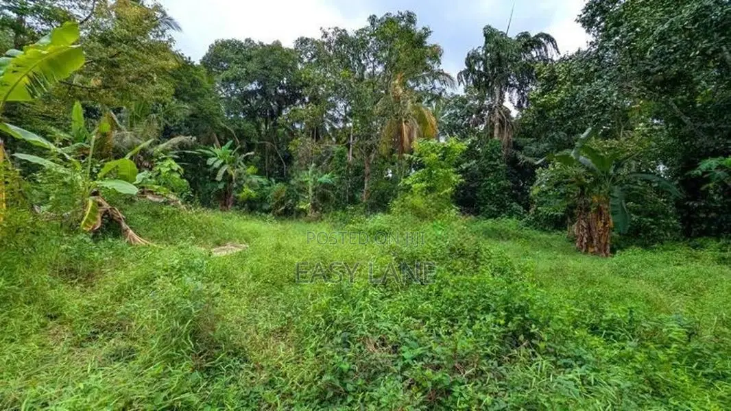 කඩවත වෑබඩින් වටිනා ඉඩමක් විකිණීමට