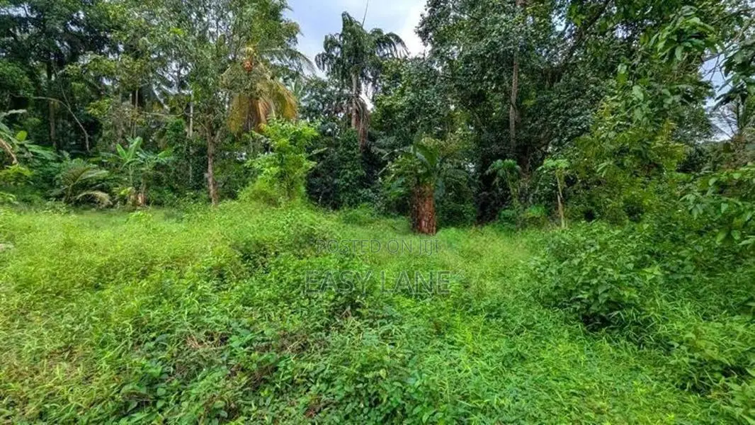 කඩවත වෑබඩින් වටිනා ඉඩමක් විකිණීමට
