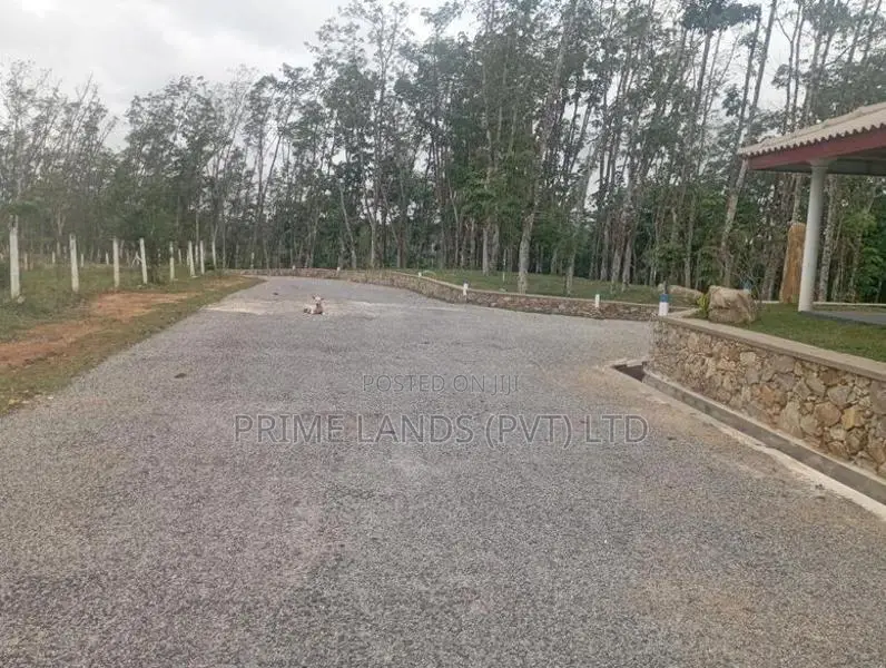 Land for Sale Near Bellapitiya School