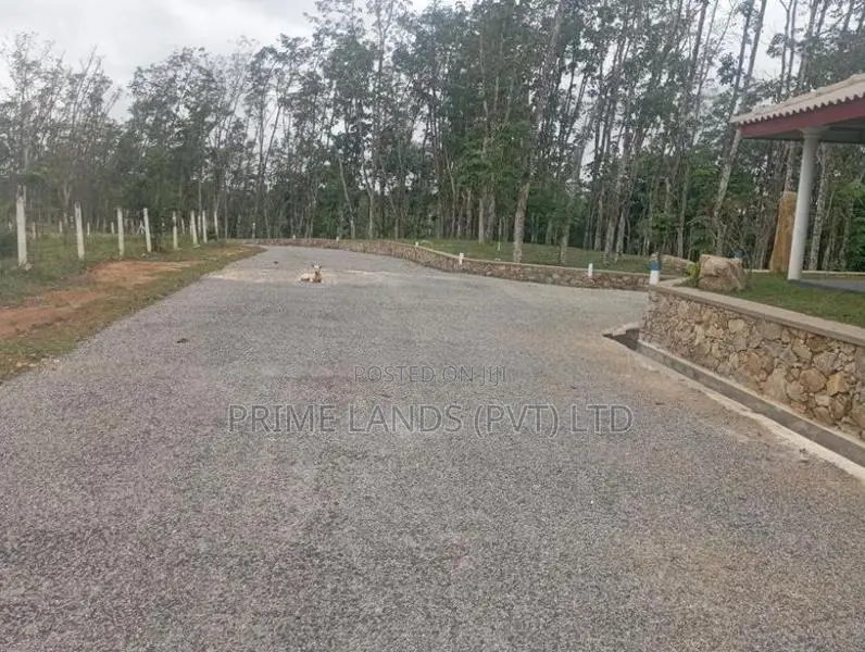 Land for Sale Near Bellapitiya School