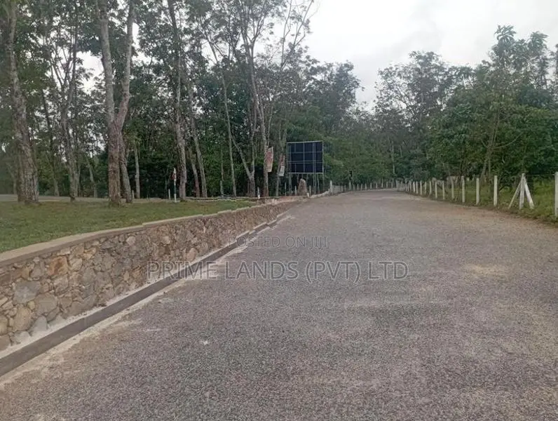 Valuable Land Plots Near to Horana Town