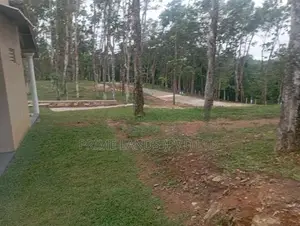 හොරන නගරයට ලඟින් හොඳම ඉඩම බැල්ලපිටිය