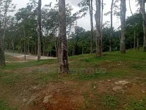 හොරන නගරයට ලඟින් හොඳම ඉඩම බැල්ලපිටිය