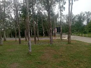හොරන නගරයට ලඟින් හොඳම ඉඩම බැල්ලපිටිය