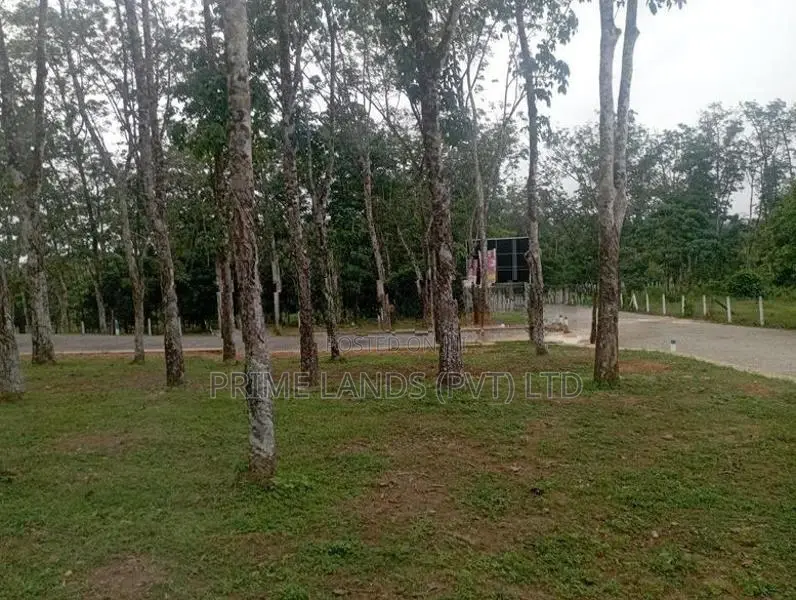හොරන නගරයට ලඟින් හොඳම ඉඩම බැල්ලපිටිය