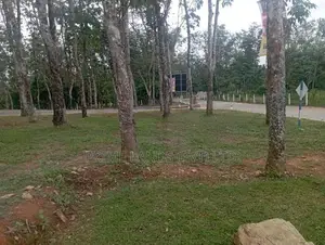 හොරන බැල්ලපිටිය වල්පිට පාරෙන් හොඳ ඉඩමක්