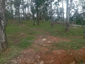 හොරන බැල්ලපිටිය වල්පිට පාරෙන් හොඳ ඉඩමක්