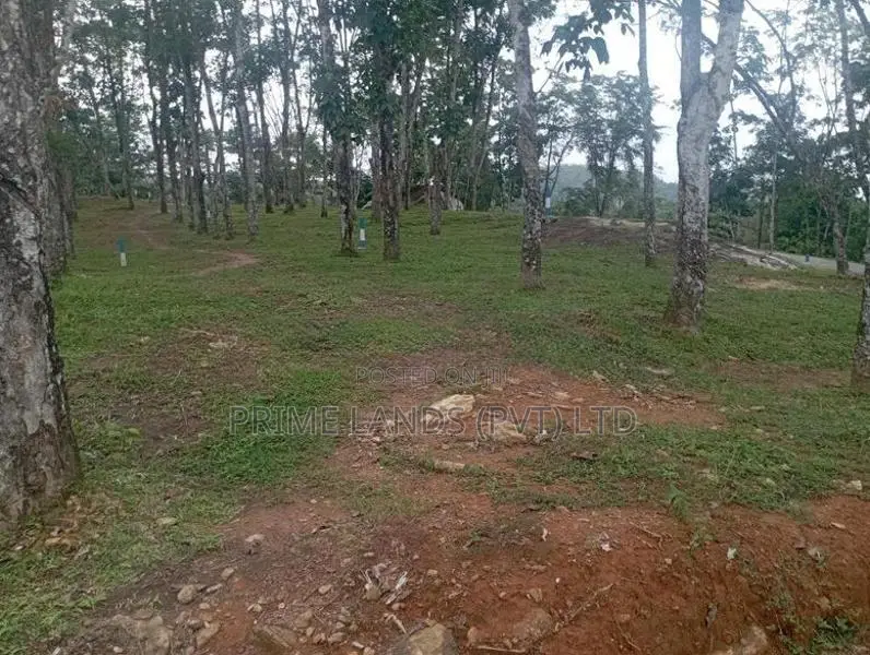 හොරන බැල්ලපිටිය වල්පිට පාරෙන් හොඳ ඉඩමක්