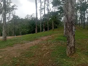 හොරන බැල්ලපිටිය වල්පිට පාරෙන් හොඳ ඉඩමක්