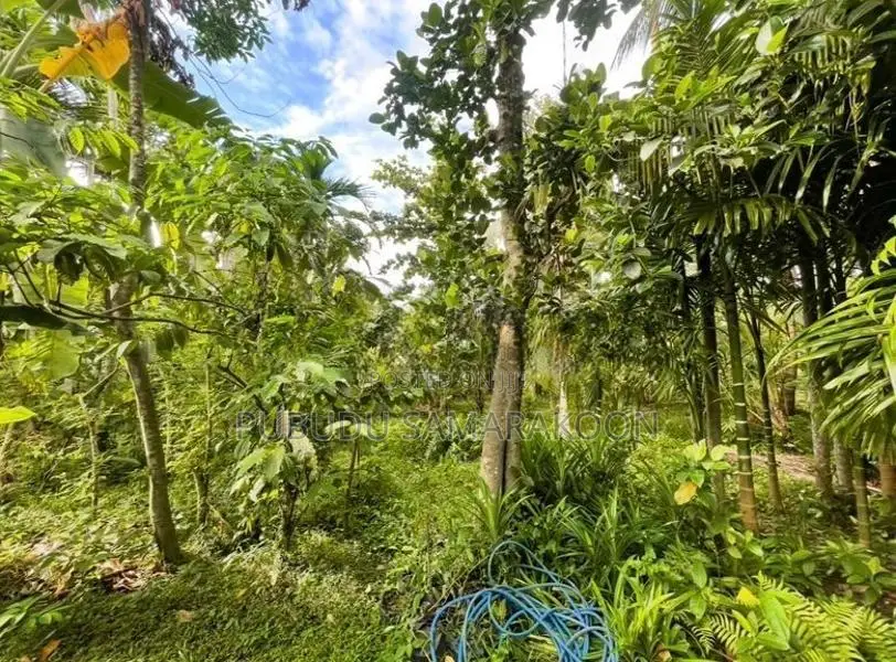 පොල්ගහවෙල නාරම්මල ප්‍රධාන පාරට මුහුණලා ඇති නිවසක් සහිත ඉඩමක් විකිණීමට
