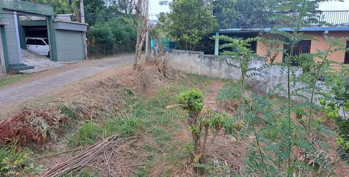 Land For Sale Gurudeniya, Kandy