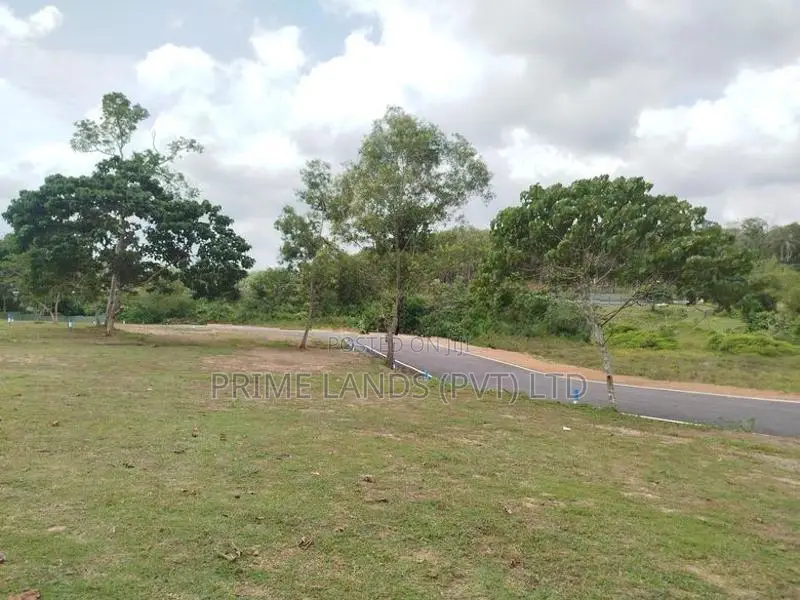 තලගල බෙරුකැටිය බිම් කොටස් විකිණීමට