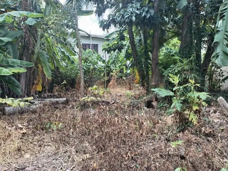 Premium Land for Sale Boralesgamuwa