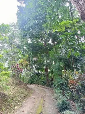 House With Land For Sale In Katugastota