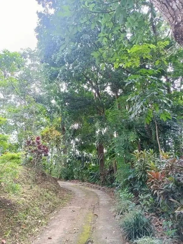 House With Land For Sale In Katugastota