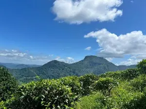 Land for Sale Yatiyantota