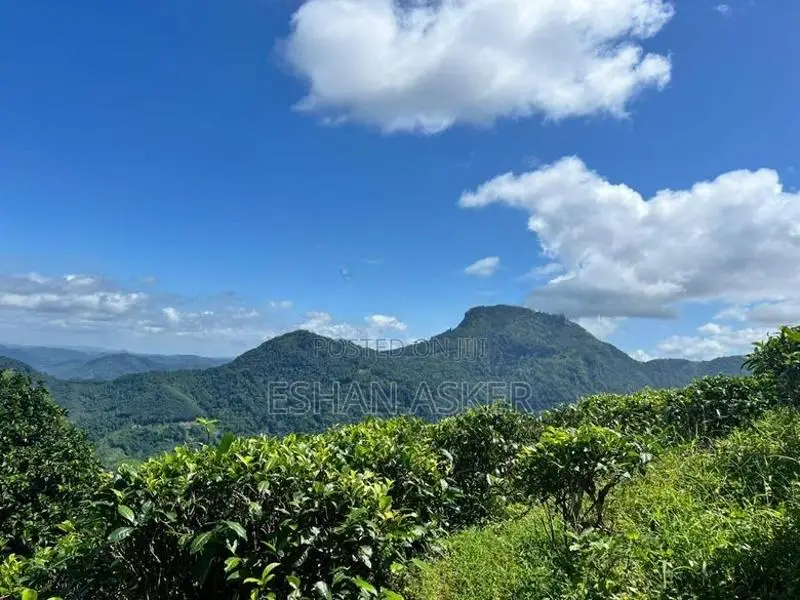 Land for Sale Yatiyantota