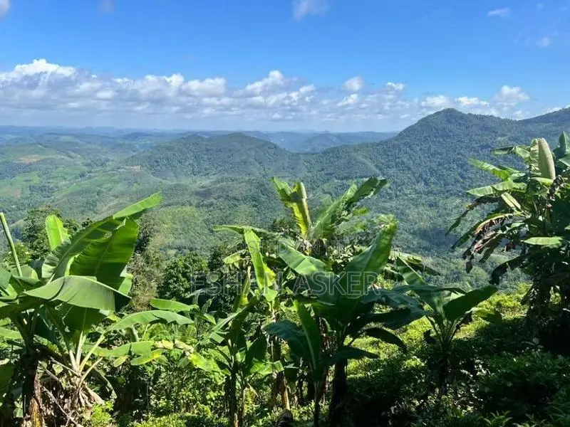 Land for Sale Yatiyantota
