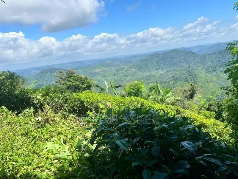 Land for Sale Yatiyantota