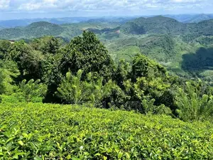 Land for Sale Yatiyantota