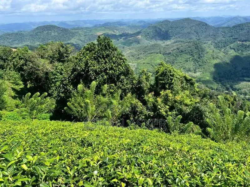 Land for Sale Yatiyantota