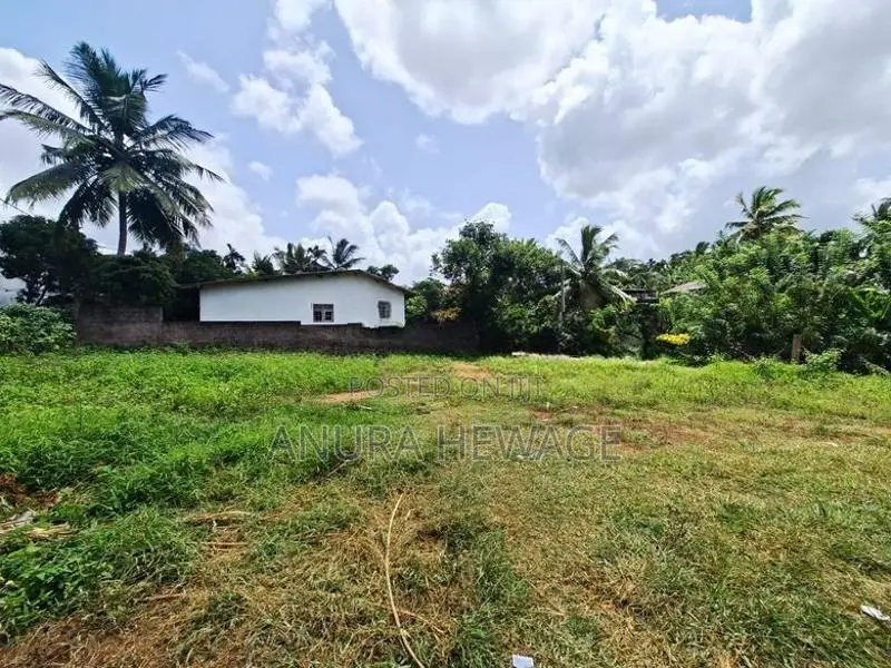 අතුරුගිරිය, හොරකැටිය පාරේ පිහිටි ඉඩමක් විකිණීමට ඇත. (ID : ATHU042S)