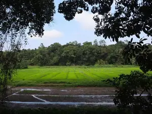 Land for Sale Near Ragama - Batuwatta