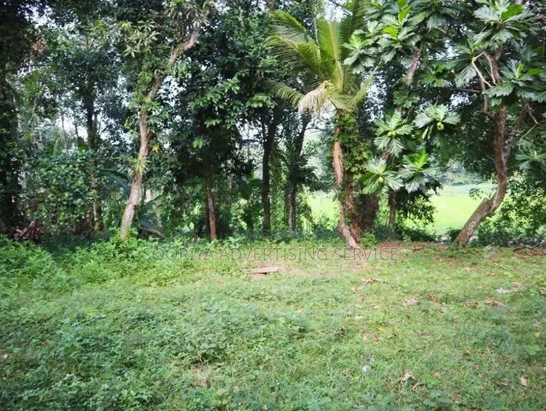 Land for Sale Near Ragama - Batuwatta