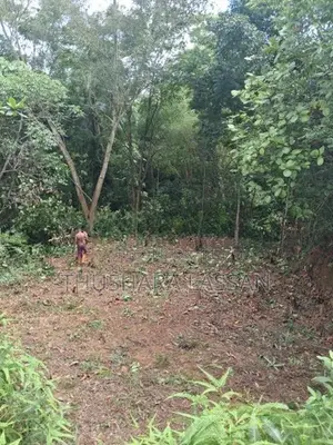 අගනා ඉඩමක් විකිණීමට පයාගල