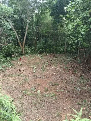 අගනා ඉඩමක් විකිණීමට පයාගල