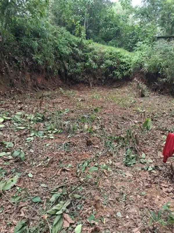 අගනා ඉඩමක් විකිණීමට පයාගල