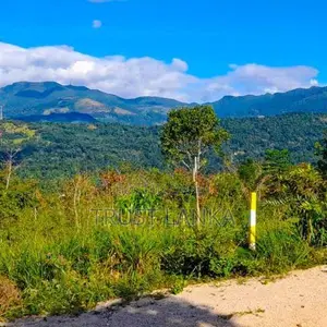 Land For Sale In Matale