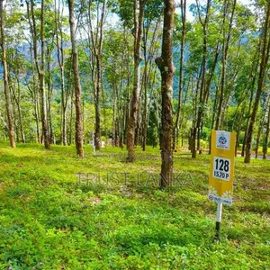 Land For Sale In Matale