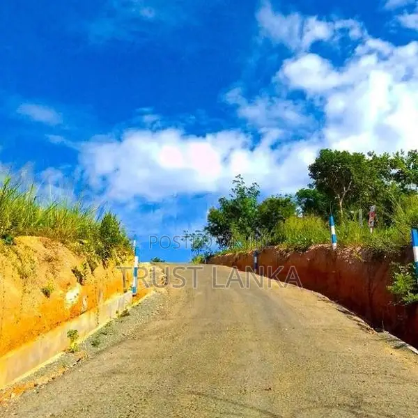 Valuable Land for Sale in Matale