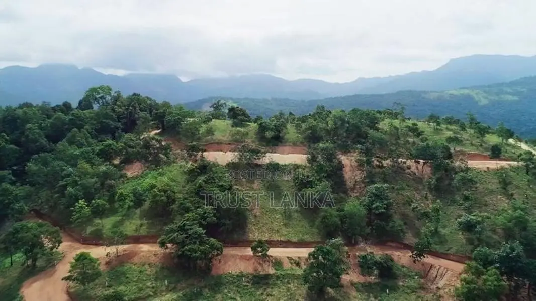 Prime Land for Sale in Matale