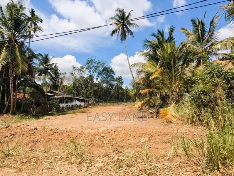 මීගමුව – කුරුණෑගල පාරට ආසන්න වටිනා ඉඩමක් / SA 11629