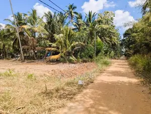 මීගමුව – කුරුණෑගල පාරට ආසන්න වටිනා ඉඩමක් / SA 11629