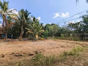 මීගමුව – කුරුණෑගල පාරට ආසන්න වටිනා ඉඩමක් / SA 11629