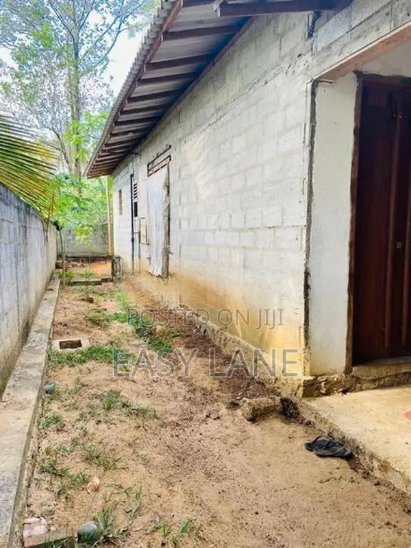 House for sale in pasyala / RU 11273