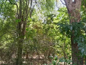 සංචාරක හොටෙල් සදහා ඉතා සුදුසු ඉඩමක් සිගිරියන් ව්කිණිමට ඇත
