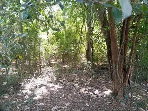 සංචාරක හොටෙල් සදහා ඉතා සුදුසු ඉඩමක් සිගිරියන් ව්කිණිමට ඇත