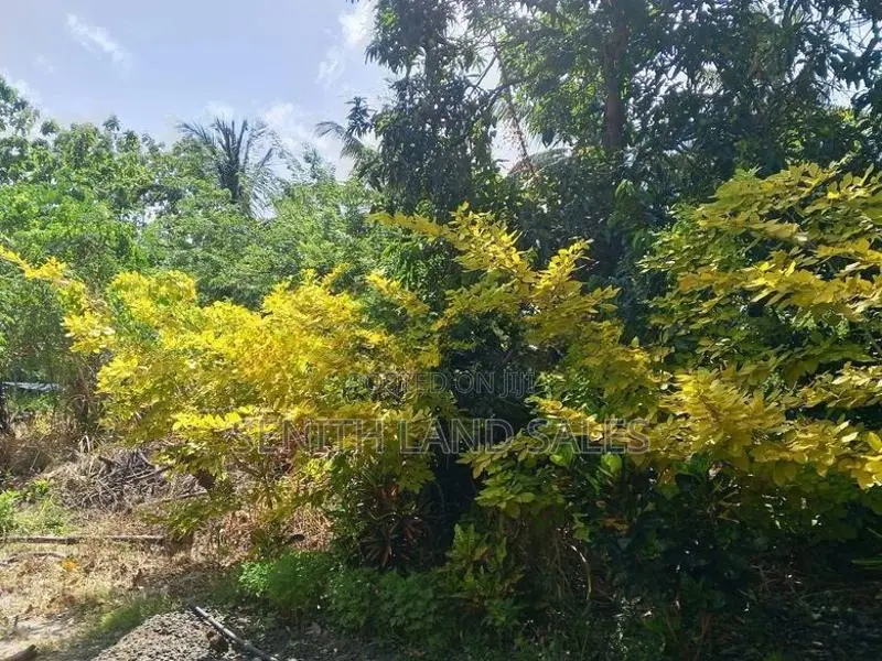 දඹුල්ල අවටින් පර්චස් 20 ක් ව්කිණිමට ඇත