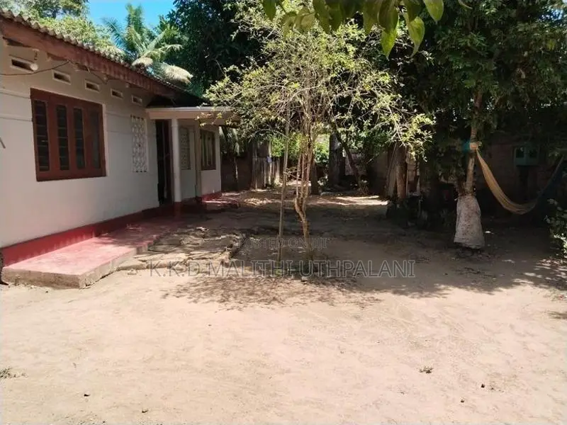 Land For Sale Walgama Mathara